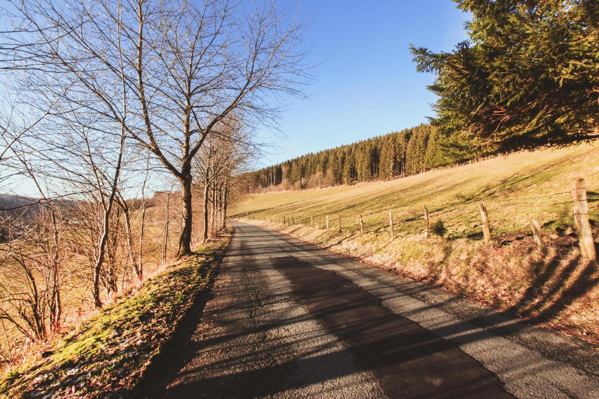 Fewo Clemensberg Niedersfeld Daire Winterberg Dış mekan fotoğraf